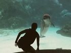 Girl Makes Dolphin Laugh during gymnastics