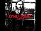 The Whisperer feat Sia  (Listen) - David Guetta