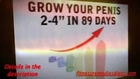 Penis Growth Chart