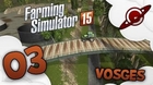 Farming Simulator 15 | Map Vosges - Episode 3: Le bûcheron fou !