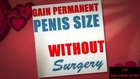 Penis Growth Stages