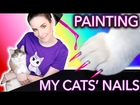 Painting my Cats' Nails